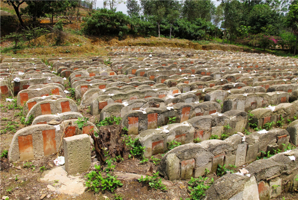 宁德两会｜雷谢清：守护黄瓜山遗址塑造闽东文明精神标识(图1)