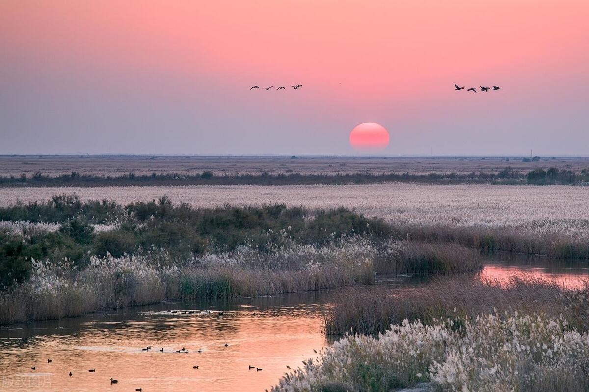 宋塔映沱江新添“省字号”——怀德白塔跻身第十批省级文物保护单位(图1)