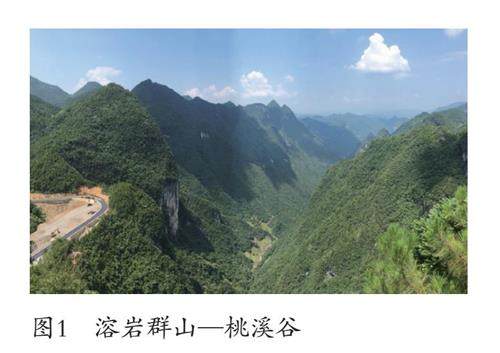 从七千年古森林到现代VTS系统——福大学子寒假对话深蓝时空(图1)