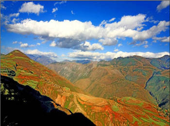 浮来山地质遗迹省级自然保护区沂南片区生态补偿资金项目（二次）竞争性磋商公告(图1)