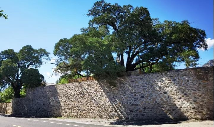 浙江常山世界地质公园：未来将注重数字化保护(图1)