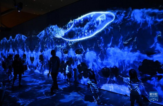 两岸青年齐聚福州共话农文旅融合发展(图1)